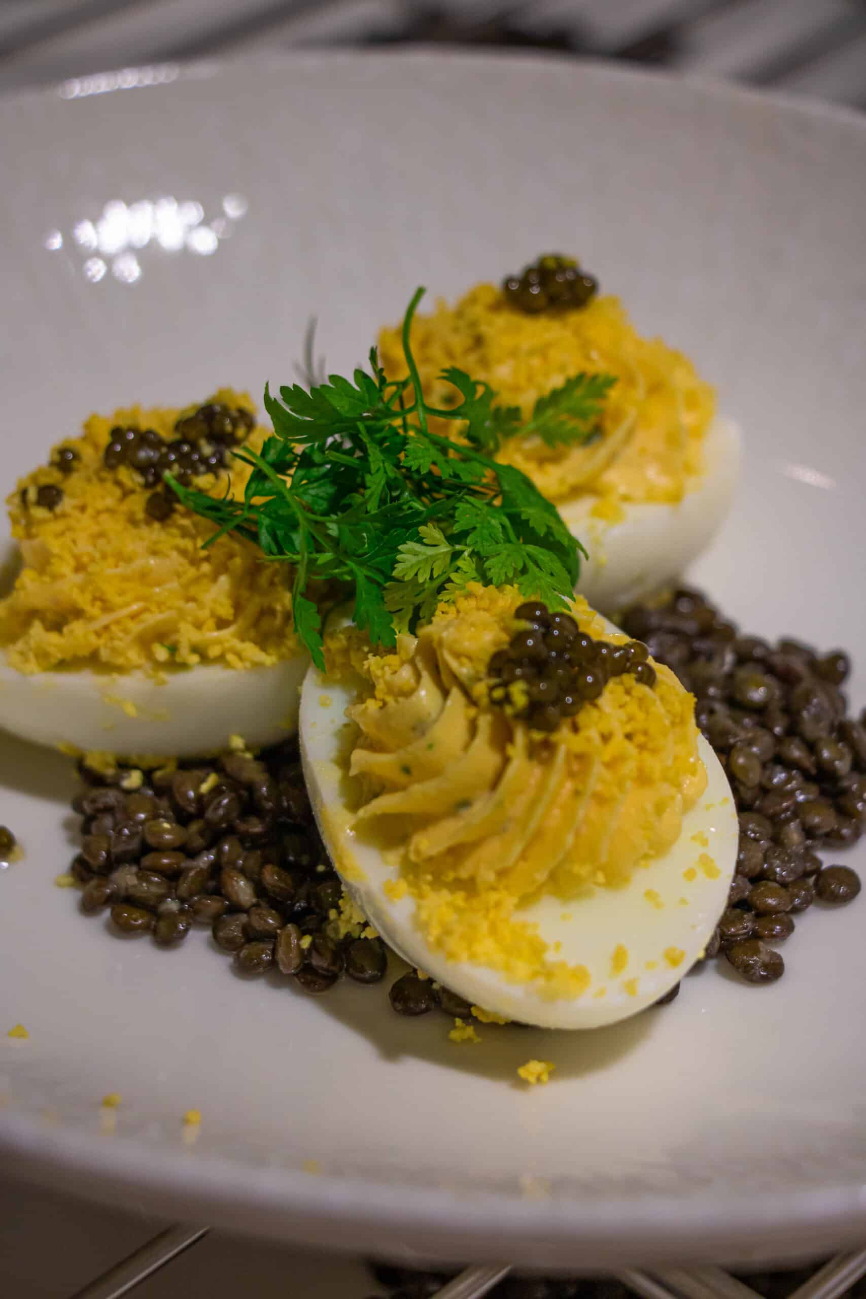 Entrée C-Gastronomie, Bocuse d’Or 2025